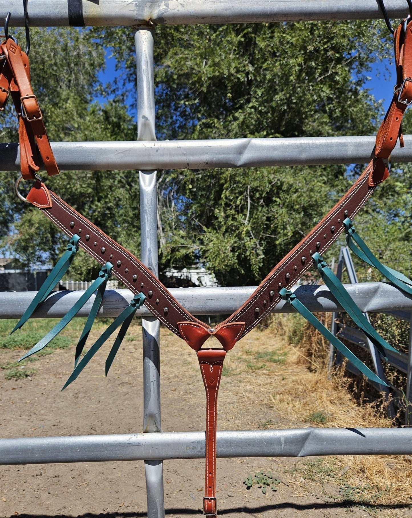 Chocolate breast collar
