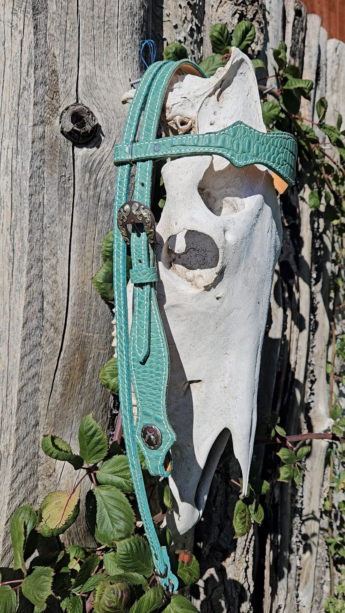 Turquoise headstall