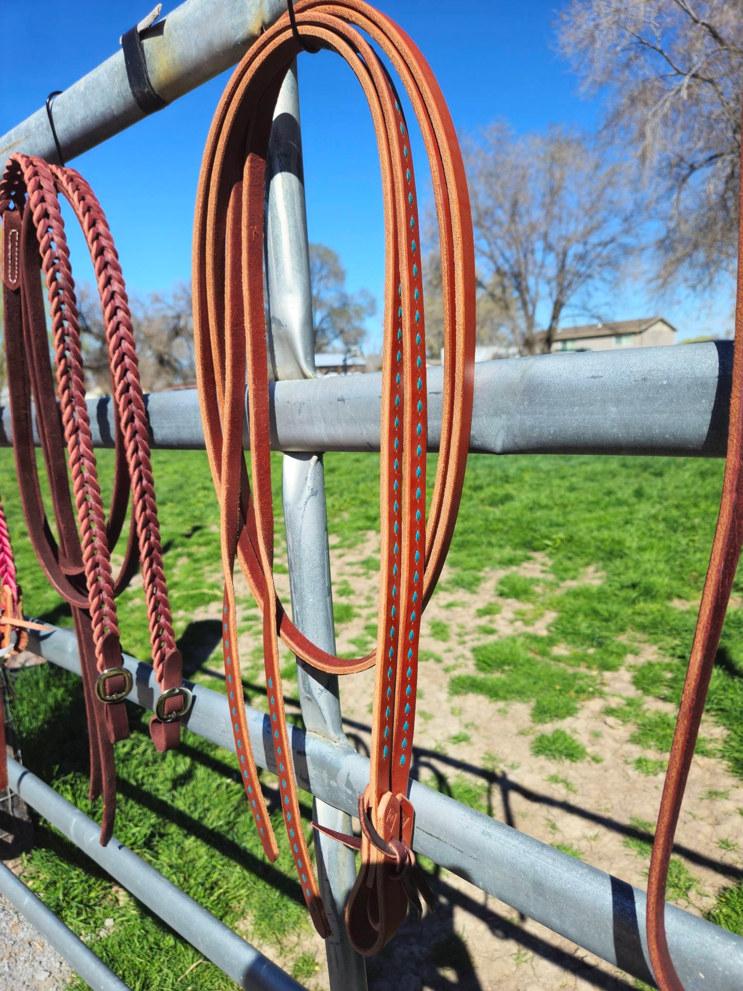 Chestnut and Turquoise reins